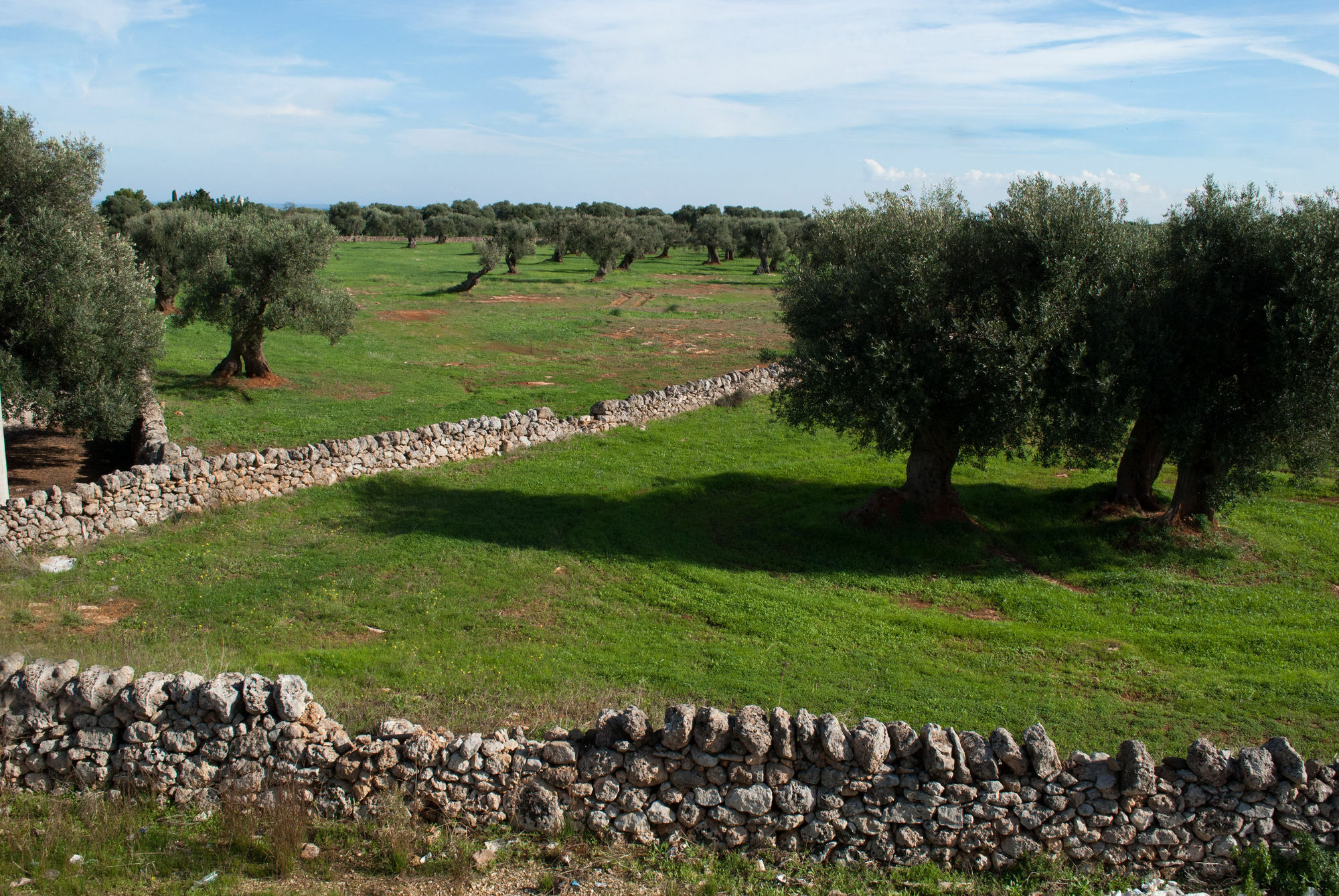 Masseria Lama D'Impisa Villa Fasano Exterior foto